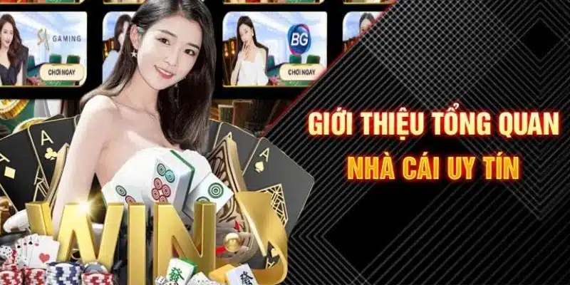 Giới thiệu tổng quan về QIBET